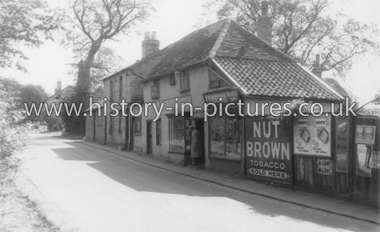 The Street, Willingale, Essex. c.1960's
